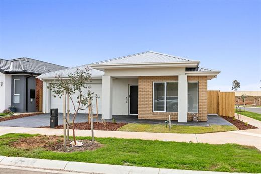 The front of 18 Xavier Road: a single-storey brick and render home with a double garage and a young street tree.